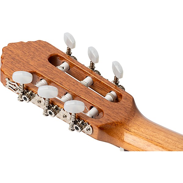 Ortega Traditional Series RCE180GT Thinline Acoustic-Electric Classical Guitar - Natural