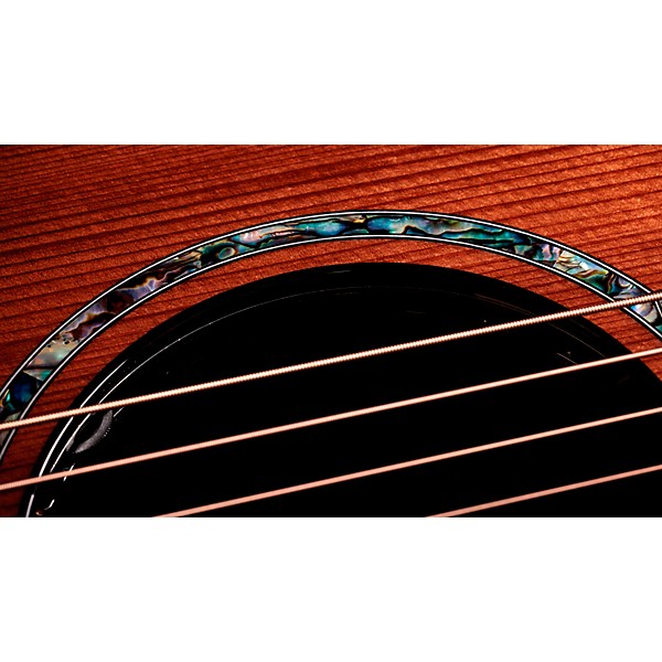 Taylor Next Generation PS14ce Grand Auditorium Acoustic-Electric Guitar - Shaded Edge Burst