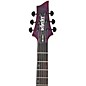 Schecter Guitar Research Omen Extreme-II Electric Guitar - Nocturne Shadow