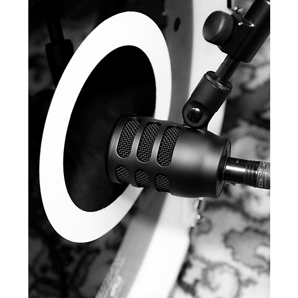 beyerdynamic TG D70 Dynamic Kick Drum Microphone