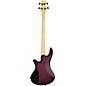 Schecter Guitar Research Stiletto Extreme-4 Electric Bass Guitar - Satin Purple Burst