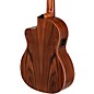 Manuel Rodriguez Academia Exotica Santos Pavo Real Cutaway Acoustic-Electric Classical Guitar Natural