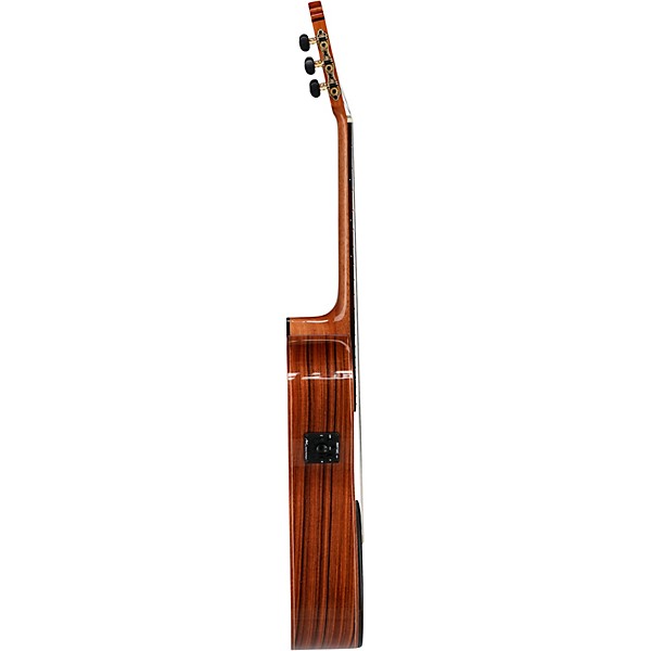 Manuel Rodriguez Academia Exotica Santos Pavo Real Cutaway Acoustic-Electric Classical Guitar Natural