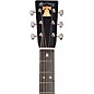 Martin HD-28 Semiquincentennial Dreadnought Acoustic Guitar - Custom Artwork