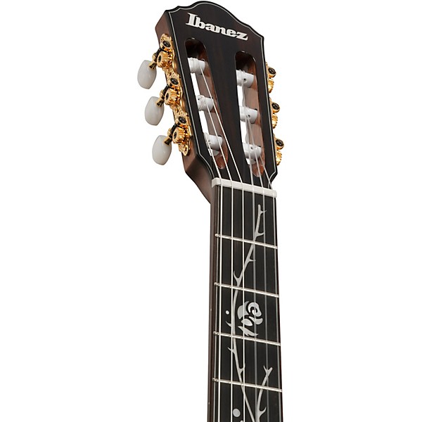 Ibanez TOD100N Tim Henson Signature Nylon-String Acoustic-Electric Guitar - Natural High Gloss