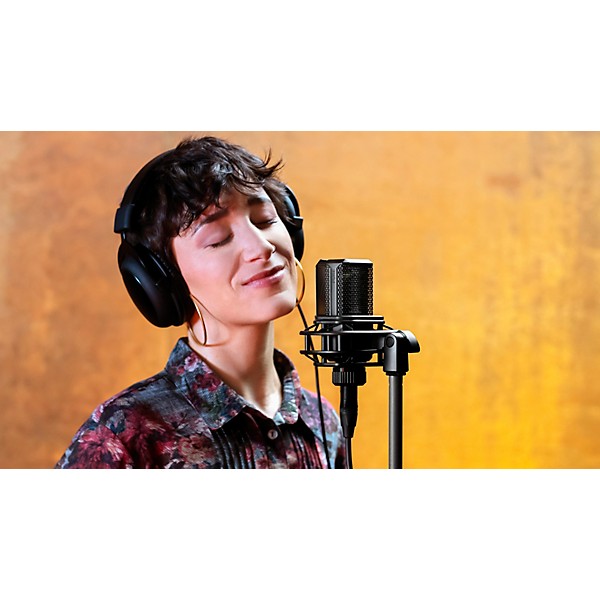 LEWITT LCT 440 Pure Stereo Condenser Microphone - Matched Pair