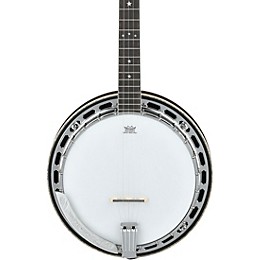 Ibanez BA250 USA 250th Anniversary Resonator Banjo - Eagle