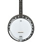 Ibanez BA250 USA 250th Anniversary Resonator Banjo - Eagle thumbnail