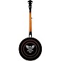 Ibanez BA250 USA 250th Anniversary Resonator Banjo - Eagle