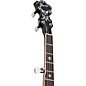Ibanez BA250 USA 250th Anniversary Resonator Banjo - Eagle