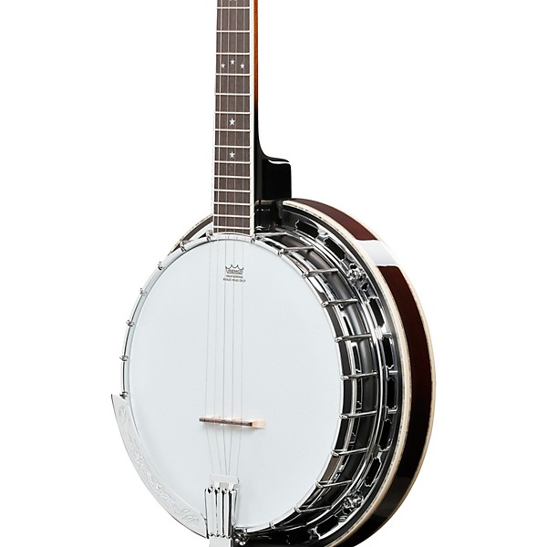 Ibanez BA250 USA 250th Anniversary Resonator Banjo - Eagle