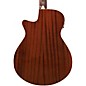 Ibanez AEGA250 USA 250th Anniversary Grand Auditorium Acoustic-Electric Guitar - America 250