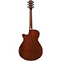 Ibanez AEGA250 USA 250th Anniversary Grand Auditorium Acoustic-Electric Guitar - America 250