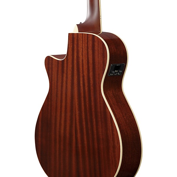 Ibanez AEGA250 USA 250th Anniversary Grand Auditorium Acoustic-Electric Guitar - America 250