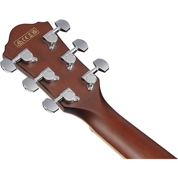 Ibanez AEGA250 USA 250th Anniversary Grand Auditorium Acoustic-Electric Guitar - America 250