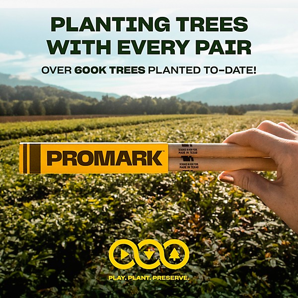 Promark Classic Forward Hickory Drum Sticks - 5A Wood Tip, 12-Pack 5A Wood