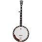 Deering Scott Avett Signature Truth 5-String Resonator Banjo thumbnail