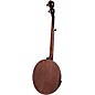 Deering Scott Avett Signature Truth 5-String Resonator Banjo