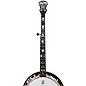 Deering Scott Avett Signature Truth 5-String Resonator Banjo