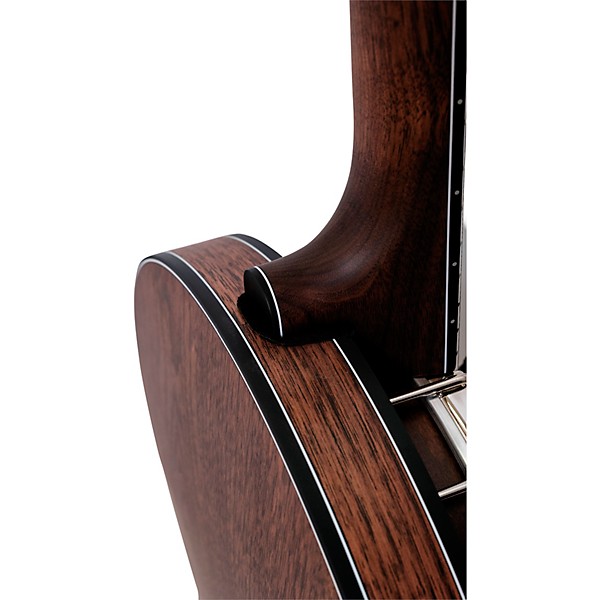 Deering Scott Avett Signature Truth 5-String Resonator Banjo