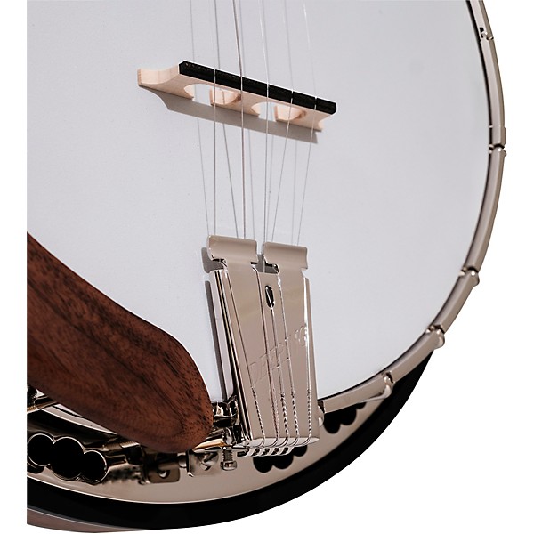 Deering Scott Avett Signature Truth 5-String Resonator Banjo