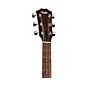 Taylor 114ce Special Edition Grand Auditorium Acoustic-Electric Guitar - Dark Tobacco Shaded Edgeburst