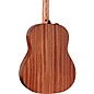 Taylor 117e Special Edition Grand Pacific Acoustic-Electric Guitar - Dark Tobacco Teardrop
