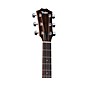 Taylor 117e Special Edition Grand Pacific Acoustic-Electric Guitar - Dark Tobacco Teardrop