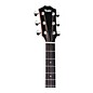 Taylor 324ce Studio Special Edition Grand Auditorium Acoustic-Electric Guitar - Shaded Edge Burst