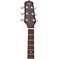 Takamine EF360SC-TT Thermal Top Acoustic-Electric Guitar - Gloss Natural