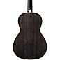 PRS SE P20E Parlor Acoustic-Electric Guitar - Dog Hair