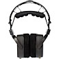 HEDD HEDDphone TWO GT Unplugged Open-Back Headphones