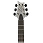PRS Jonathan Jourdan Signature LTD Electric Guitar - Platinum Metallic