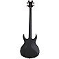Schecter Guitar Research Devil-4 Electric Bass Guitar - Blackout