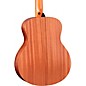 Taylor GS Mini-e Special Edition Acoustic-Electric Guitar - Floral Blue