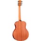 Taylor GS Mini-e Special Edition Acoustic-Electric Guitar - Floral Blue