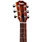 Taylor GS Mini-e Special Edition Acoustic-Electric Guitar - Floral Blue