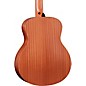Taylor GS Mini-e Special Edition Acoustic-Electric Guitar - Floral Green