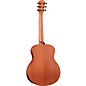 Taylor GS Mini-e Special Edition Acoustic-Electric Guitar - Floral Green