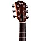 Taylor GS Mini-e Special Edition Acoustic-Electric Guitar - Floral Green