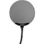 Stedman Proscreen PS101 V2 Pop Filter thumbnail
