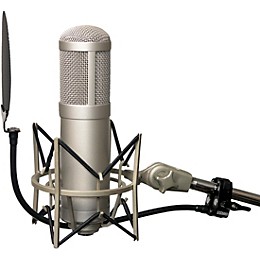 Stedman Proscreen PS101 V2 Pop Filter