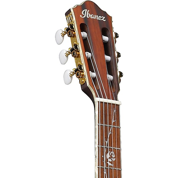 Ibanez TOD10N Tim Henson Signature Nylon Acoustic-Electric Guitar w/ Gig Bag Black Flat