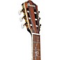 Ibanez TOD10N Tim Henson Signature Nylon Acoustic-Electric Guitar w/ Gig Bag Black Flat
