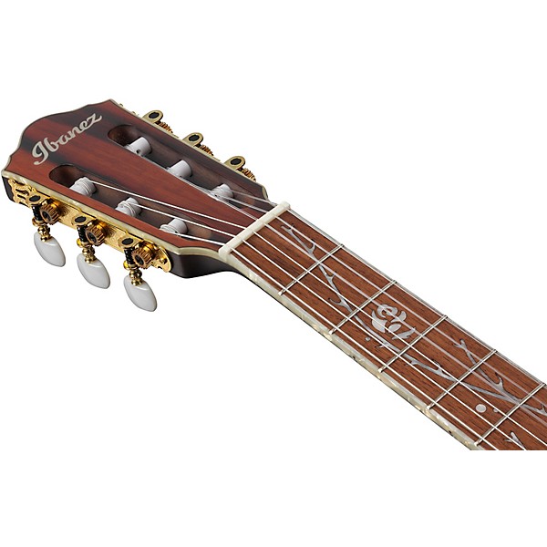 Ibanez TOD10N Tim Henson Signature Nylon Acoustic-Electric Guitar w/ Gig Bag Black Flat