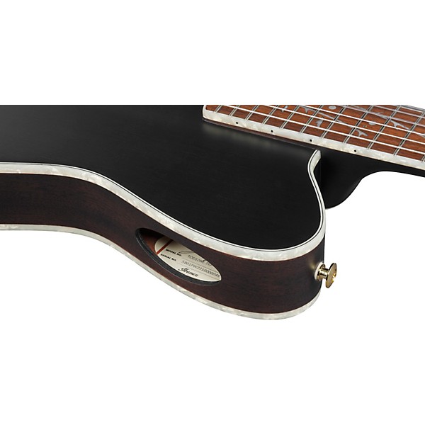 Ibanez TOD10NL Tim Henson Signature Left-Handed Nylon-String Acoustic-Electric Guitar w/ Gig Bag Transparent Black Flat