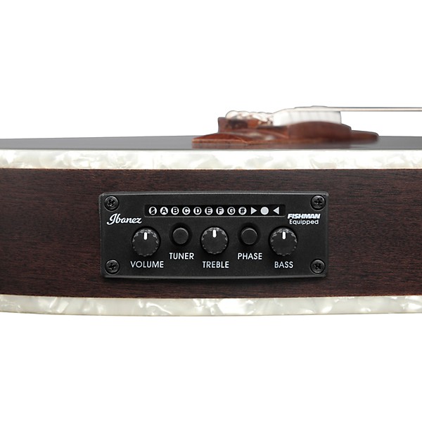 Ibanez TOD10NL Tim Henson Signature Left-Handed Nylon-String Acoustic-Electric Guitar w/ Gig Bag Transparent Black Flat