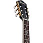 Ibanez TOD20FMN Tim Henson Signature Nylon Acoustic-Electric Guitar w/ Gig Bag Black Burst Fade