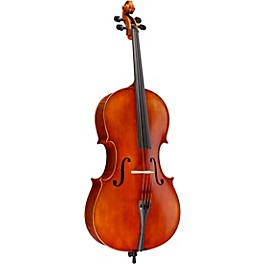 Blemished Ren Wei Shi Model 8000 Cello