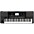 KORG PA300 61-Key Arranger 